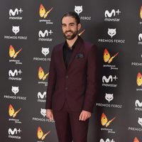 Joan Plazaola en la alfombra roja de los Premios Feroz 2017