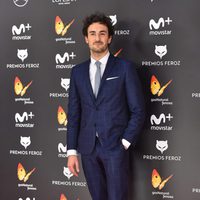 Miki Esparbe en la alfombra roja de los Premios Feroz 2017