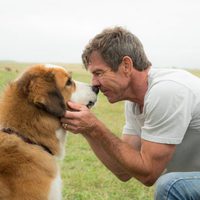 A Dog's Purpose