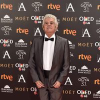 El actor Guillermo Montesinos en la alfombra roja de los Premios Goya 2017