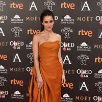 Macarena García en la alfombra roja de los Premios Goya 2017