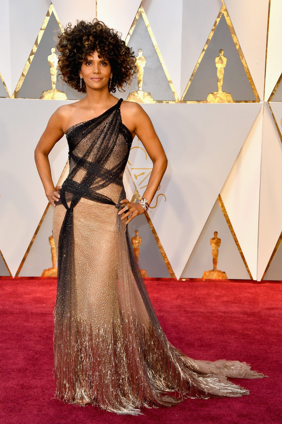 Halle Berry en la alfombra roja de los Oscar 2017