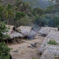 Z, la ciudad perdida