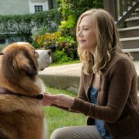 A Dog's Purpose