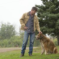 A Dog's Purpose