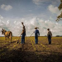 Mudbound