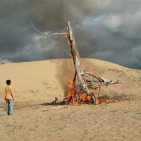 Sueños del desierto