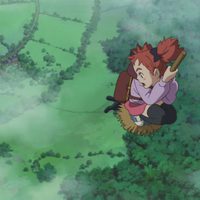 Mary and the Witch's Flower