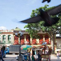 Jericó, el vuelo infinito de los días