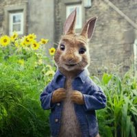 Peter Rabbit