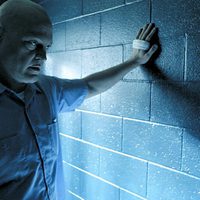 Brawl in Cell Block 99