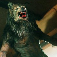 Dog Soldiers