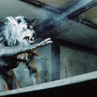 Dog Soldiers