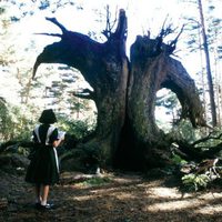 El laberinto del Fauno