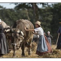  Las guardianas