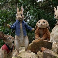 Peter Rabbit