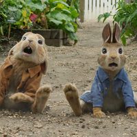 Peter Rabbit