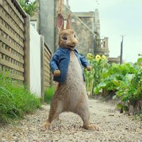 Peter Rabbit