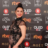 Cristina Brondo en la alfombra roja de los Premios Goya 2018