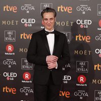 Ernesto Alterio en la alfombra roja de los Premios Goya 2018