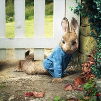 Peter Rabbit