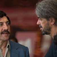 Loving Pablo