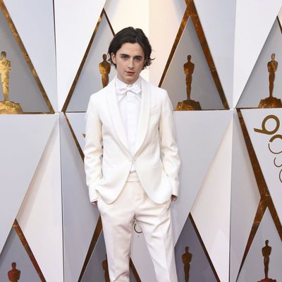 Timothée Chalamet en la alfombra roja de los Oscar 2018