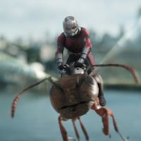 Ant-Man y la Avispa