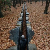 Leaning Into the Wind: Andy Goldsworthy