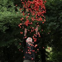 Leaning Into the Wind: Andy Goldsworthy