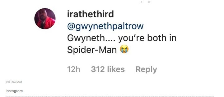 Instagram user irathethird quickly pointed out Paltrow's mistake