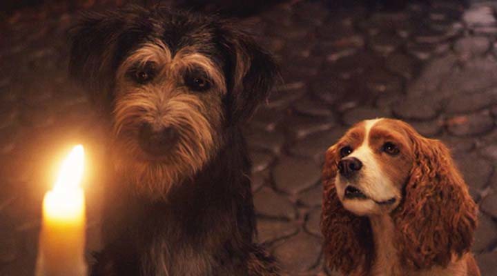 Disney's live-action 'Lady and the Tramp': a visually impressive adaptation, yet one that neglects the charm of the original