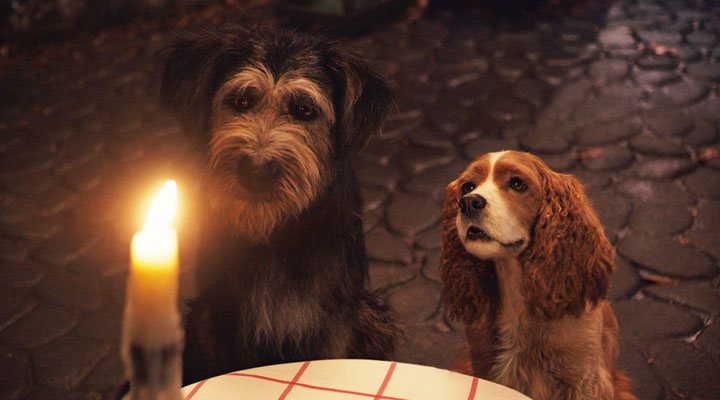 The 'Bella Notte' in the 'Lady and the Tramp' is beautifully shot