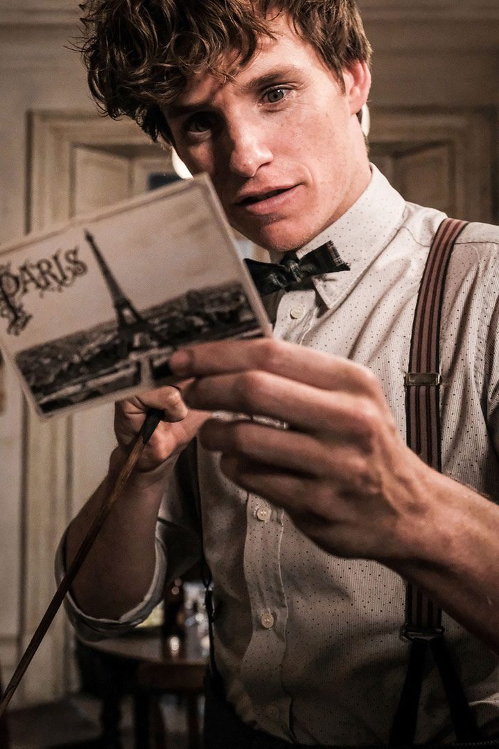  Scamander with a postcard