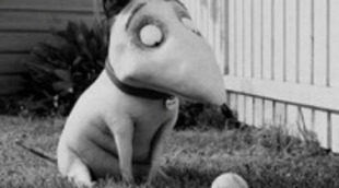 Primer tráiler de 'Frankenweenie', el regreso de Tim Burton a la animación