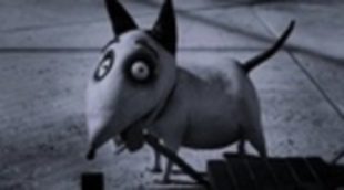 Estupendas críticas tras los primeros pases de 'Frankenweenie', la nueva fantasía animada de Tim Burton