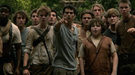 Nuevas imágenes y postales de 'El corredor del laberinto (The Maze Runner)'