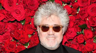 Pedro Almodóvar escoge a sus actrices preferidas del 2013