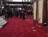 Sigue en directo la alfombra roja de los Oscar 2014