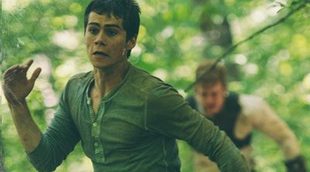 Dylan O'Brien algo perdido en el nuevo clip de 'El corredor del laberinto'