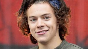 Una novela erótica inspirada en Harry Styles podría llegar a la gran pantalla