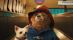 'Paddington' sorprende en sus primeras críticas en Reino Unido a pesar de sus "referencias sexuales"