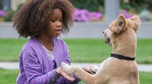 Nuevo tráiler en español de 'Annie', con la voz de María Parrado