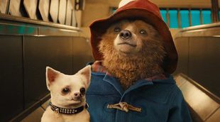 StudioCanal planea más películas familiares y la secuela de 'Paddington' podría estar entre ellas