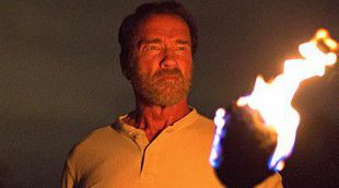 Arnold Schwarzenegger se convertirá en un padre vengativo en el drama '478'