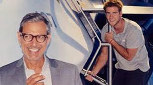 Liam Hemsworth boicotea a Jeff Goldblum en el set de 'Independence Day: Resurgence'