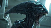 Neill Blomkamp bromea sobre 'Alien 5' contestando a Ridley Scott: "Se llamará  'Alien: Prometheus'"