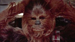 La policía ucraniana detiene a un chófer disfrazado de Chewbacca por cometer una infracción