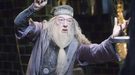 Un pastor anti-gay condena a 'Harry Potter' por un personaje homosexual