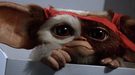 La nueva película de 'Gremlins' no será un remake, sino una secuela